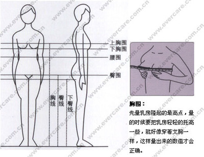 尺码的划分标准 ？如何测量胸围尺寸？胸罩尺寸？如何选择适合自己的尺码？